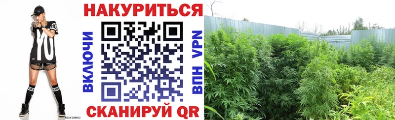 KRAKEN маркетплейс  хочу   Ядрин  Конопля THC 21% 
